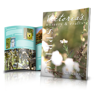 6 page 8.5 x 11 Booklets 6 page 8.5 x 11 Booklets